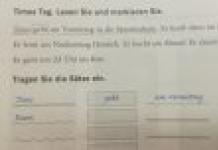 Германия: тест DAF — инструкция по применению Условия прохождения экзамена